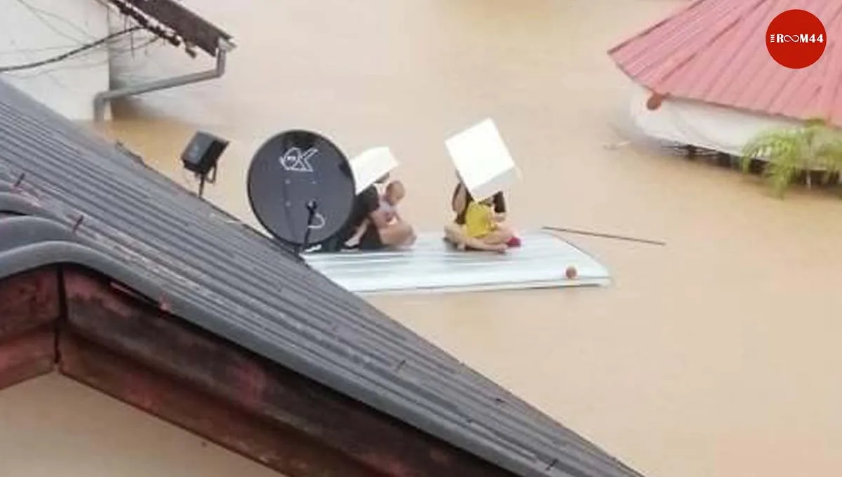 ปกในข่าวเว็บใหม่ดกเดเ้