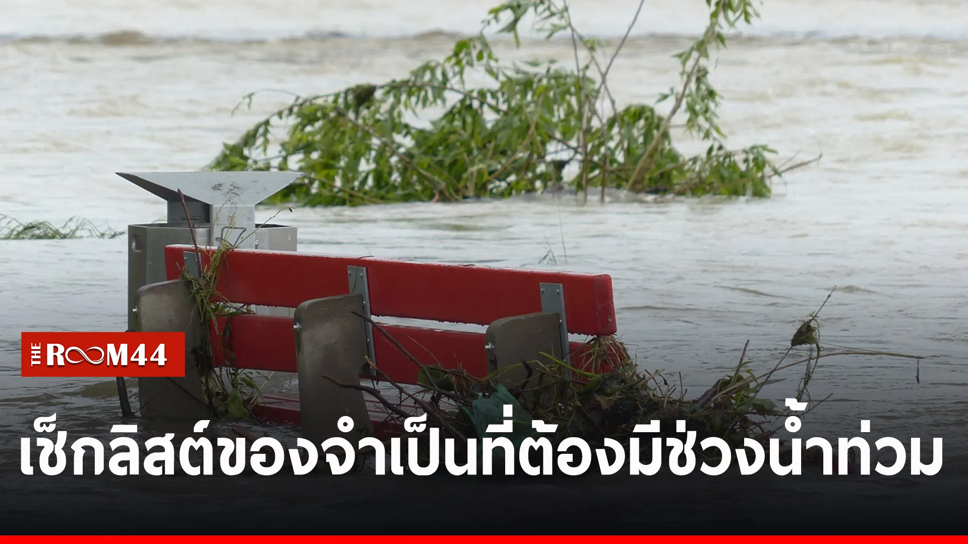 ปป