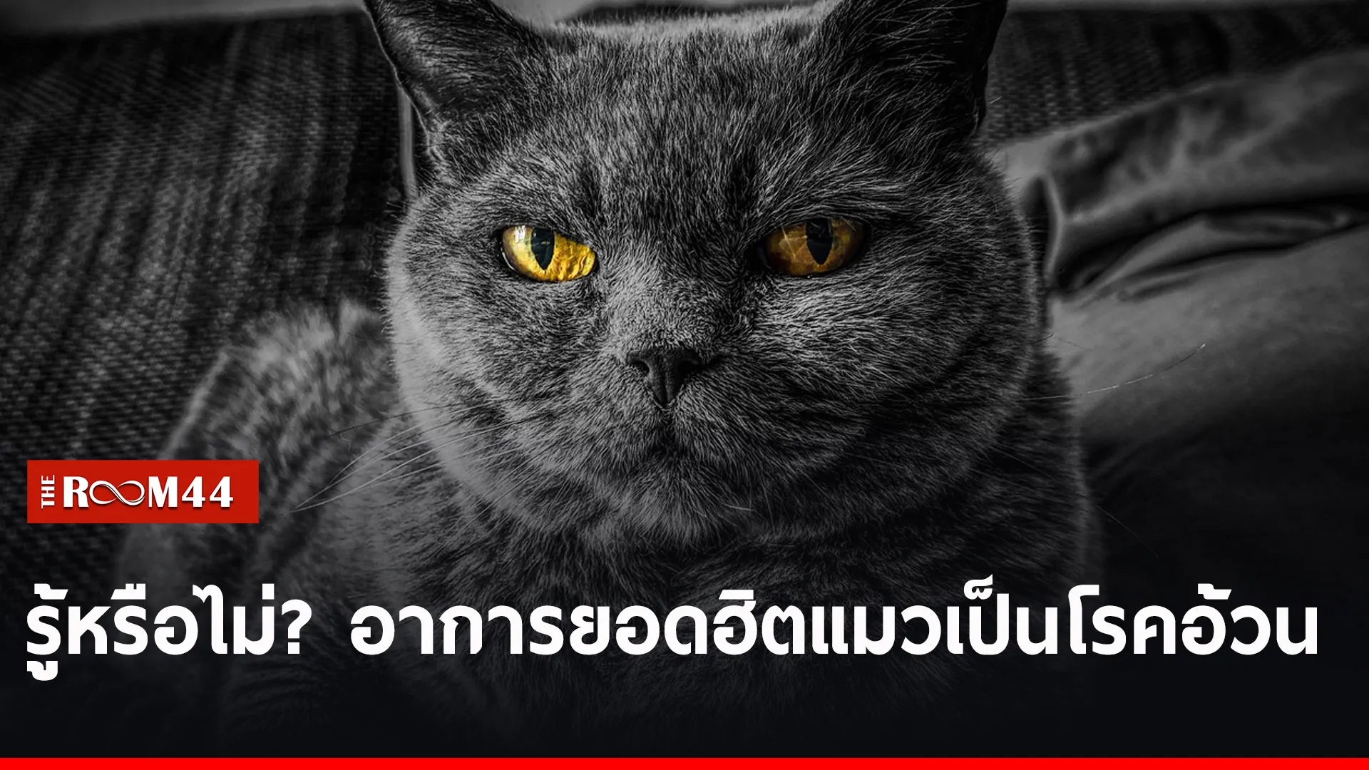 ฤ
