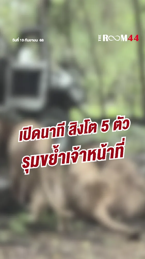 สกรีนช็อต2025-09-10160511