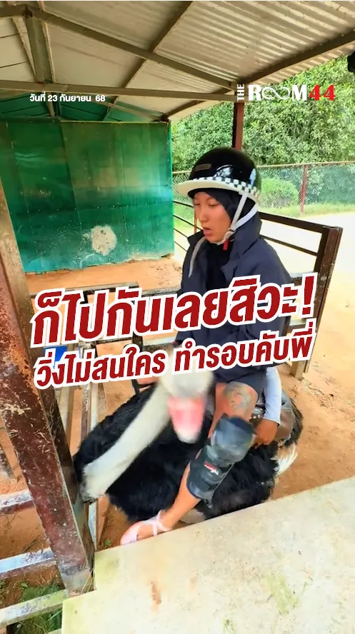 สกรีนช็อต2025-09-23143105