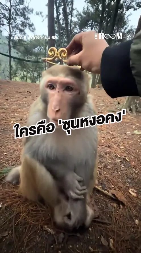 สกรีนช็อต2025-11-06181153
