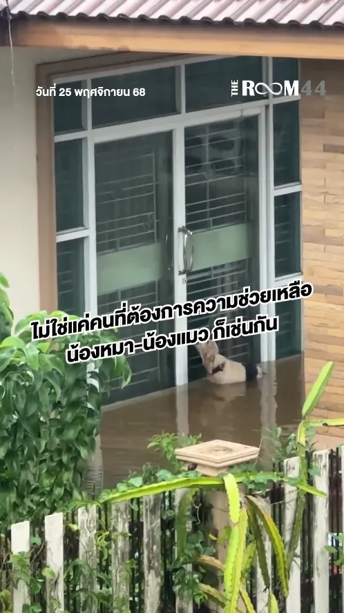 สกรีนช็อต2025-11-25101421