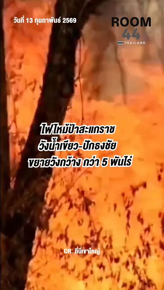 สกรีนช็อต2026-02-13181117
