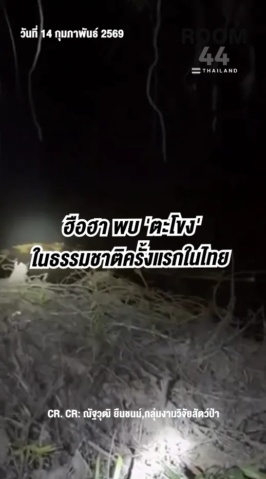 สกรีนช็อต2026-02-14111718