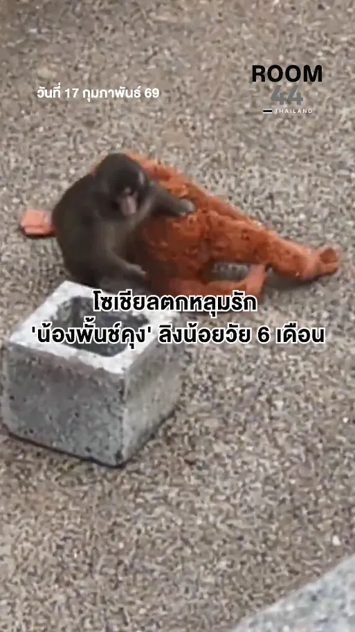 สกรีนช็อต2026-02-17115205