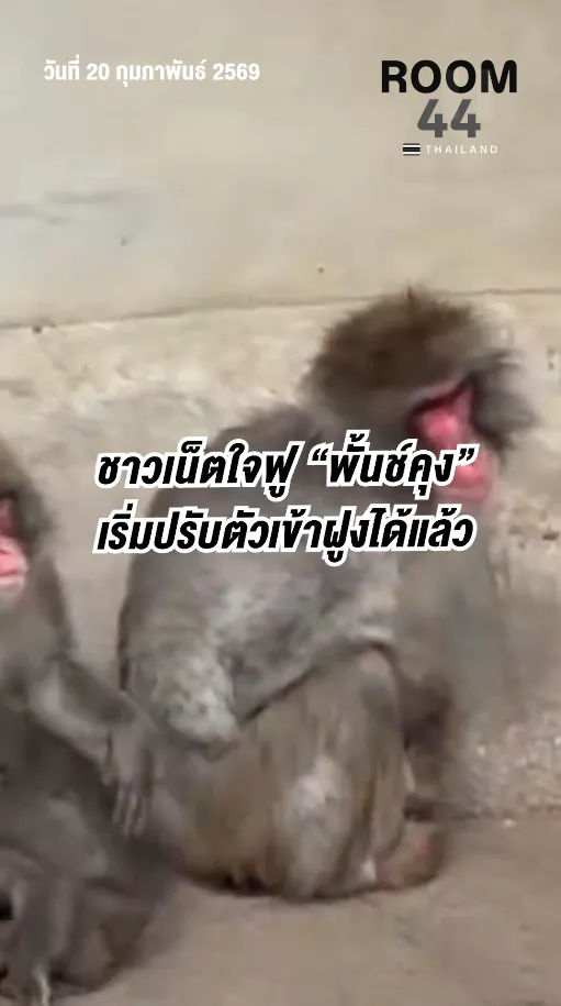 สกรีนช็อต2026-02-20143741