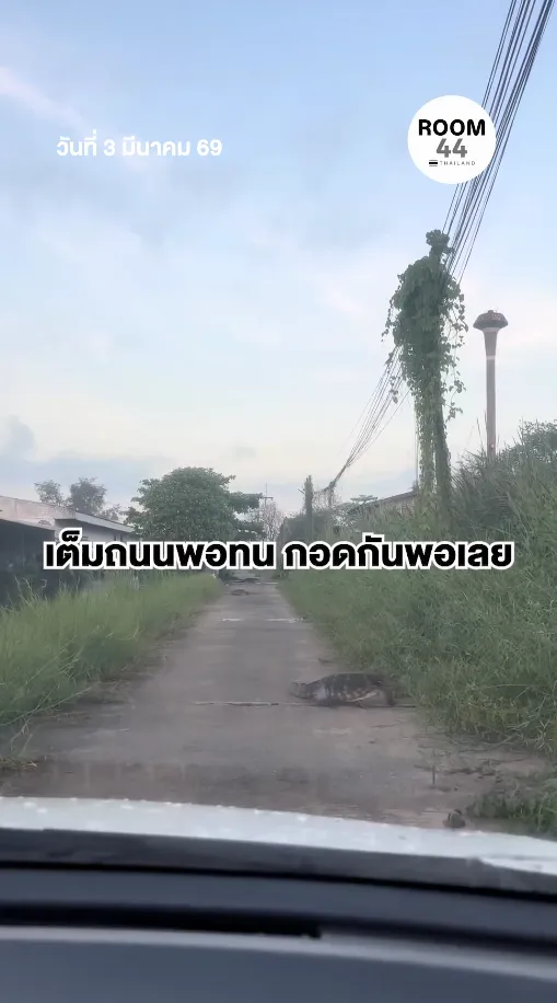สกรีนช็อต2026-03-03111944