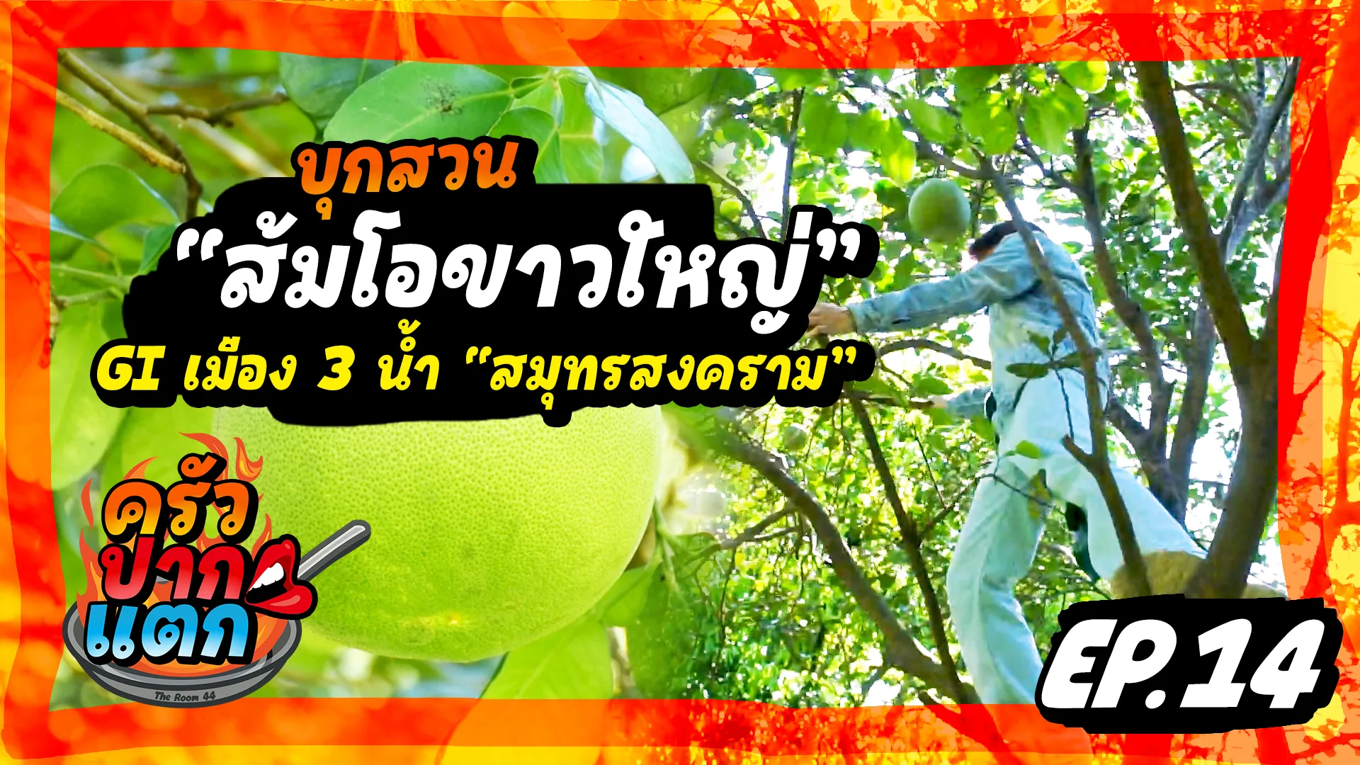 หน้าปกครัวปากแตกEP14-ส้มโอขาวใหญ่สมุทรสงคราม