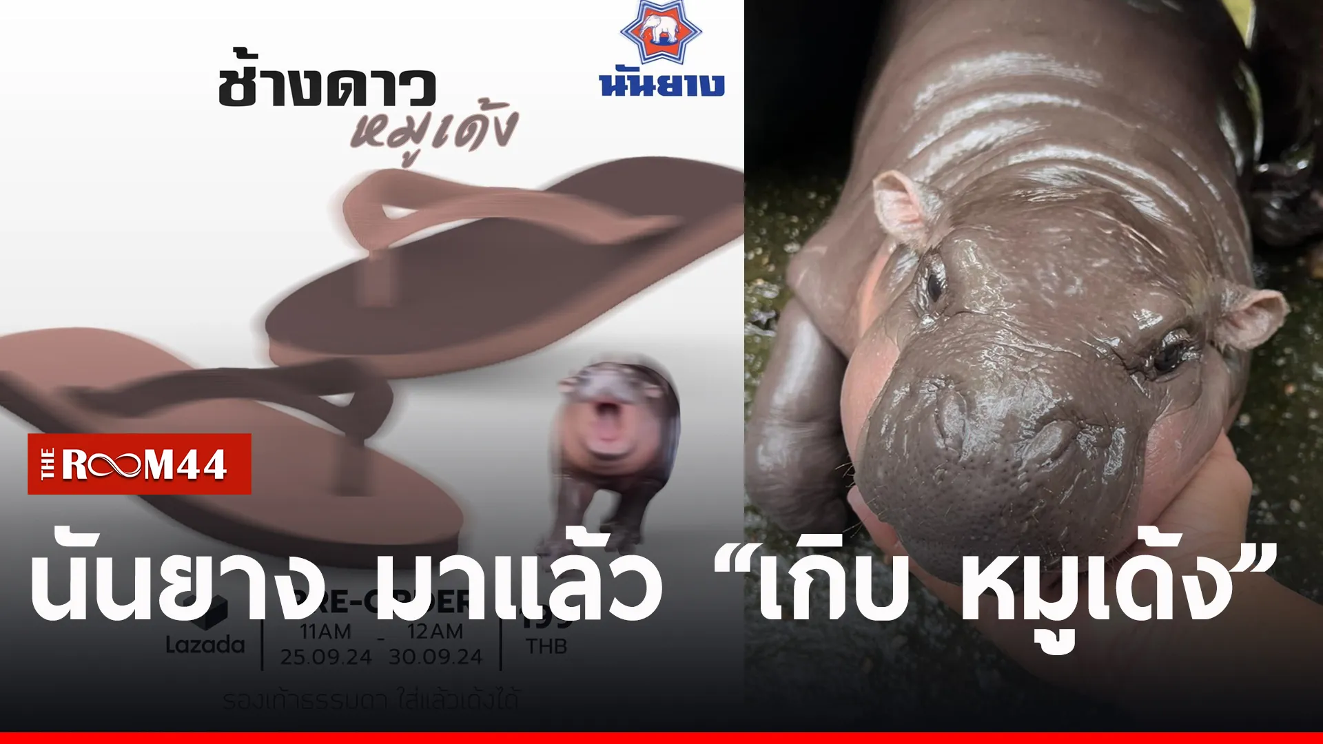 อพเำ