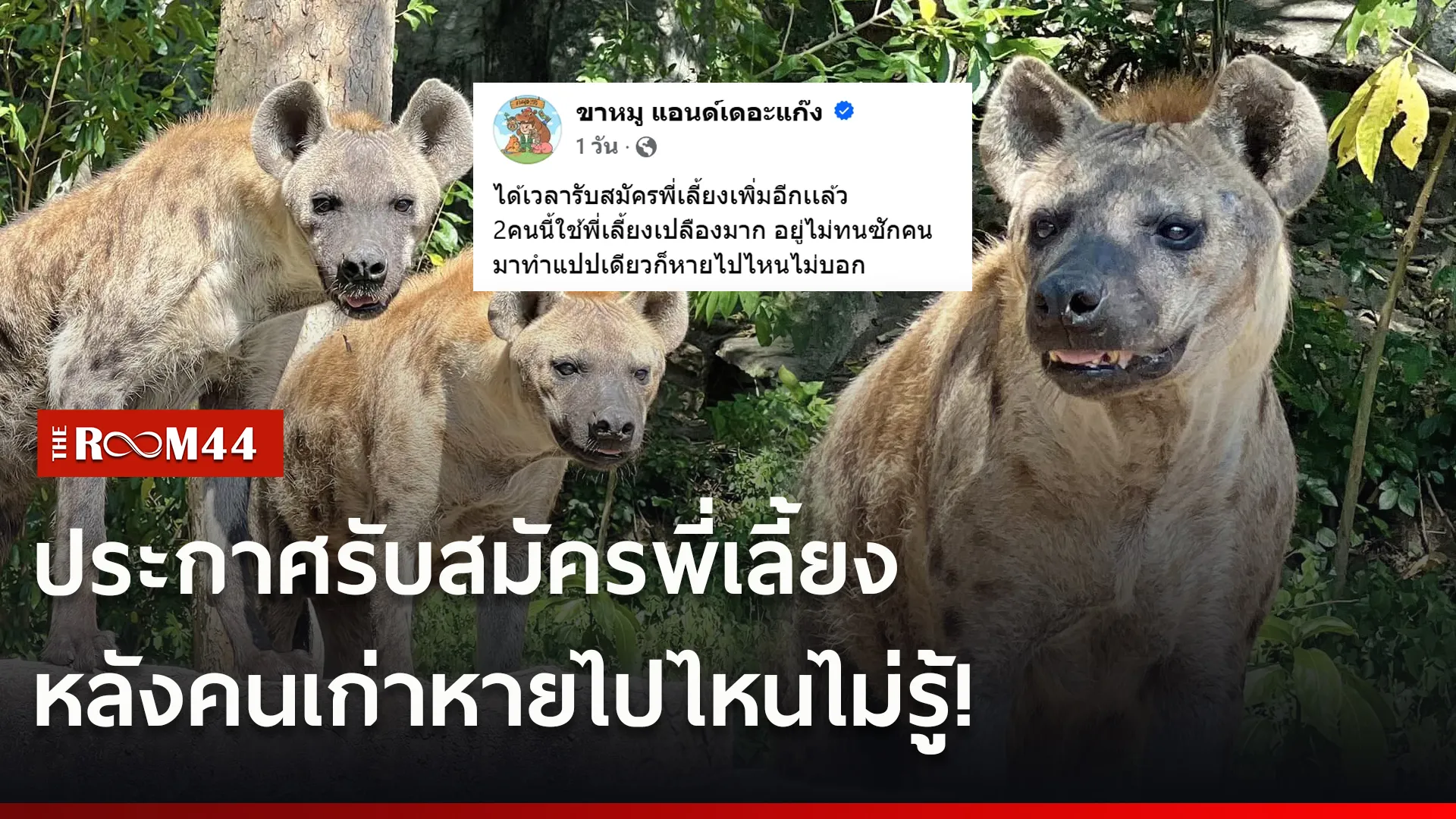 าีเ