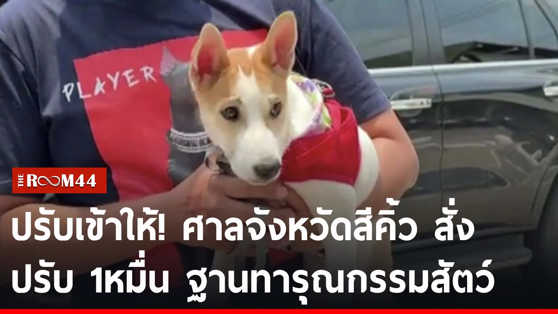ีัรัีรี