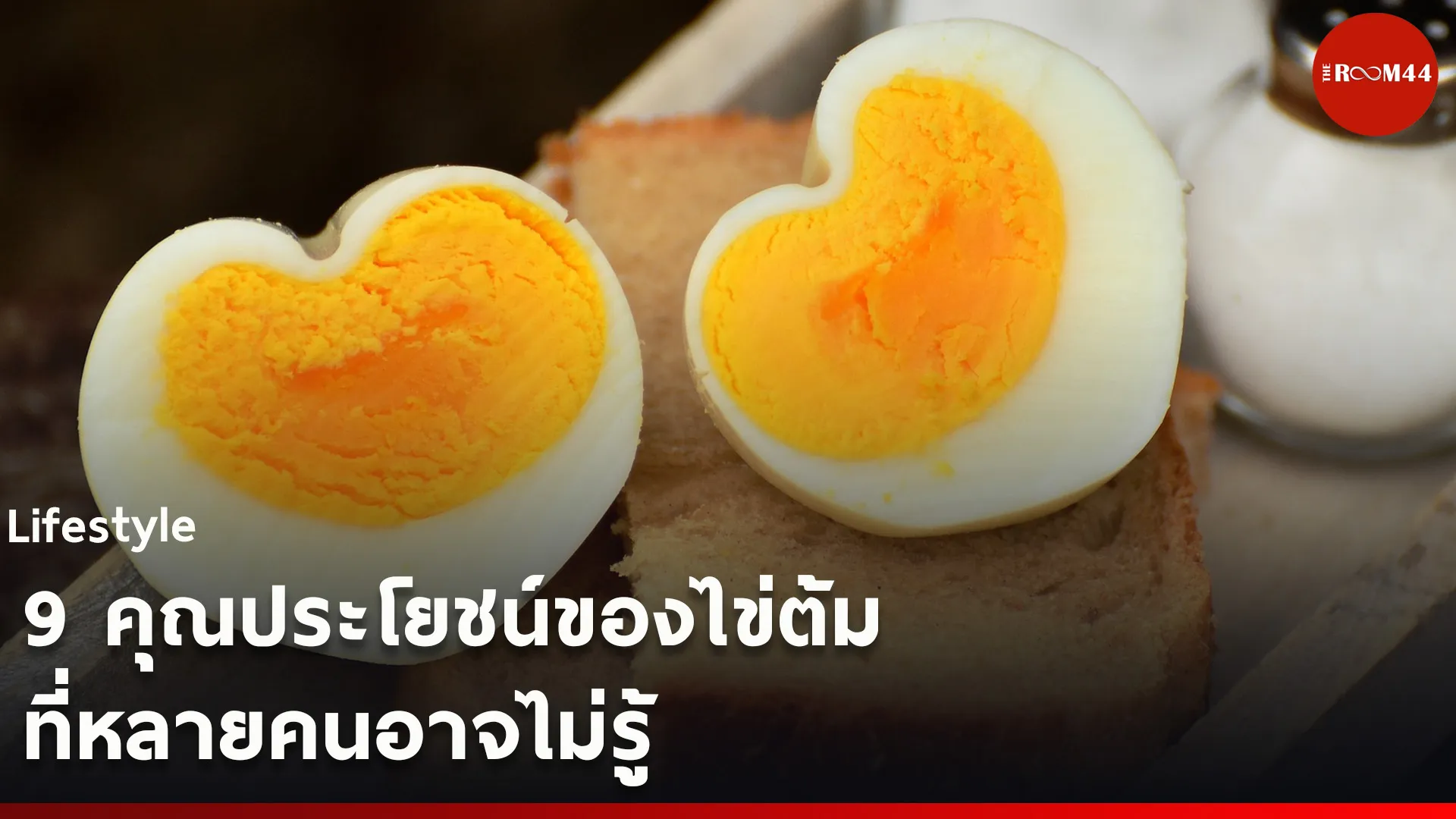ไลฟ์สไตล์ไลน์ใหม่55