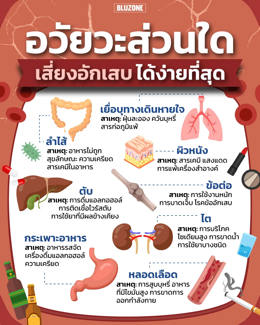 อวัยวะส่วนใด