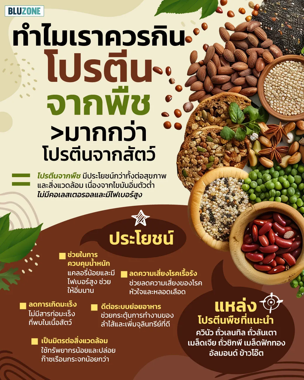 โปรตีนจากพืช