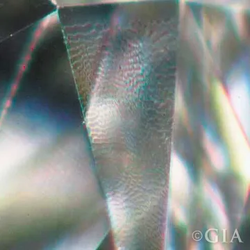 Lizard-Skin