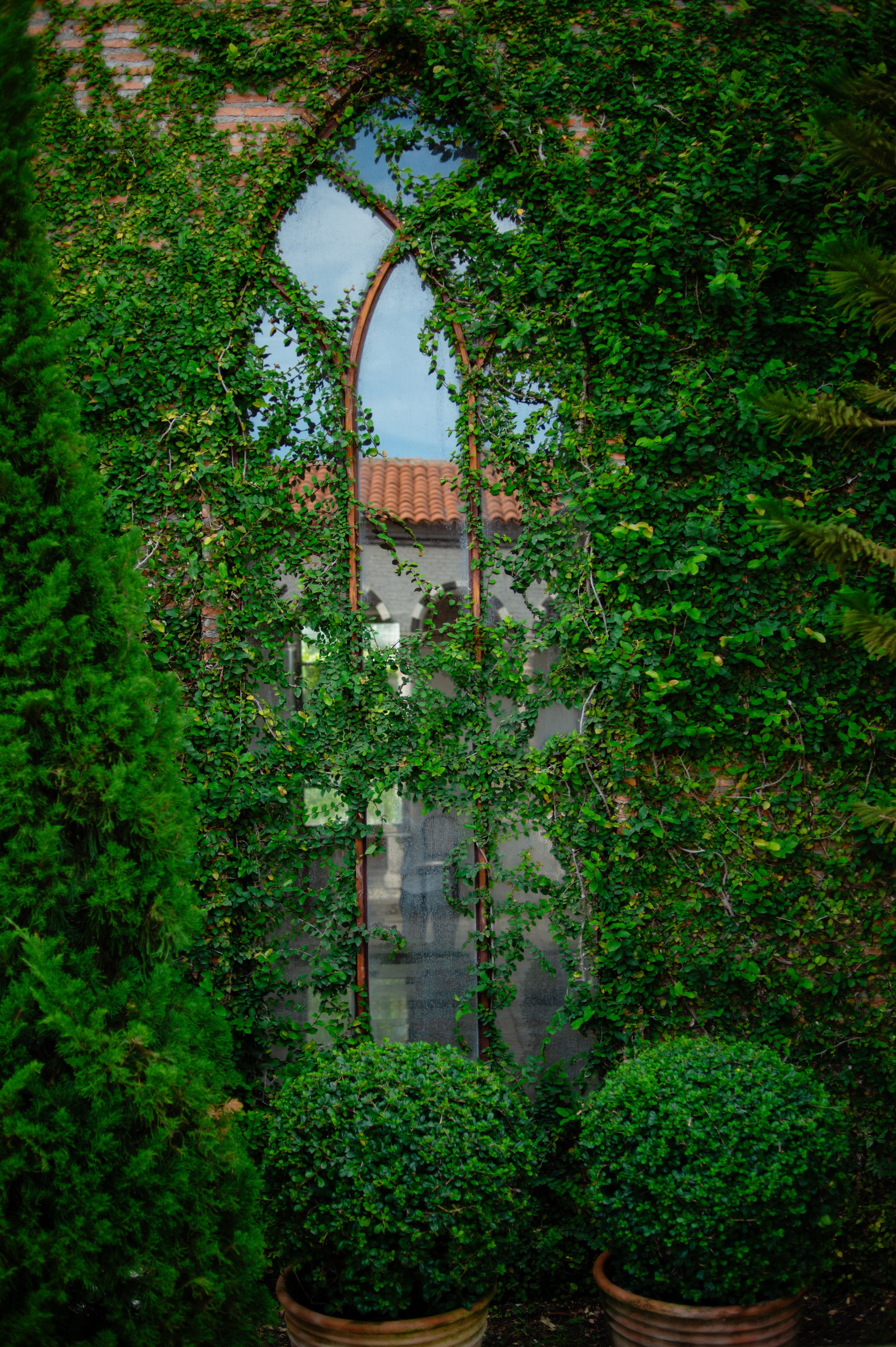 serealscapes(7)