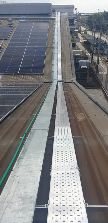 3977160