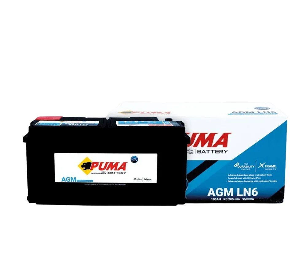 PUMA-AGM-LN6(2)