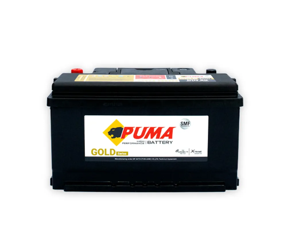 PUMA-DIN80(2)