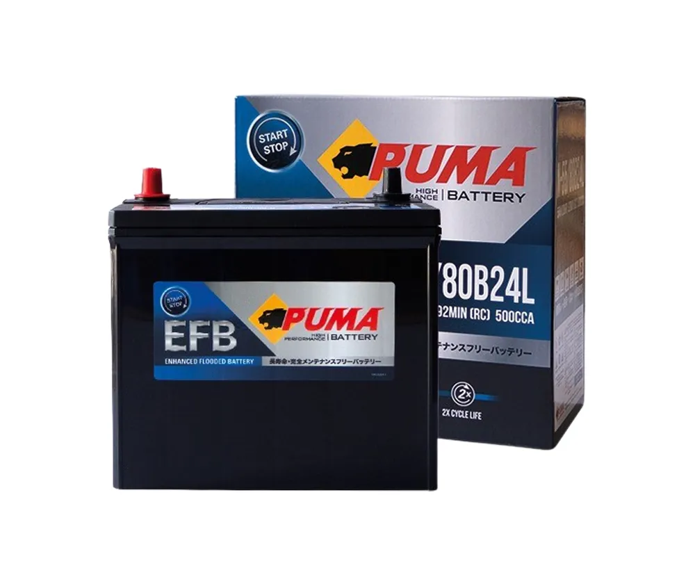 PUMA-EFB-N55L(2)
