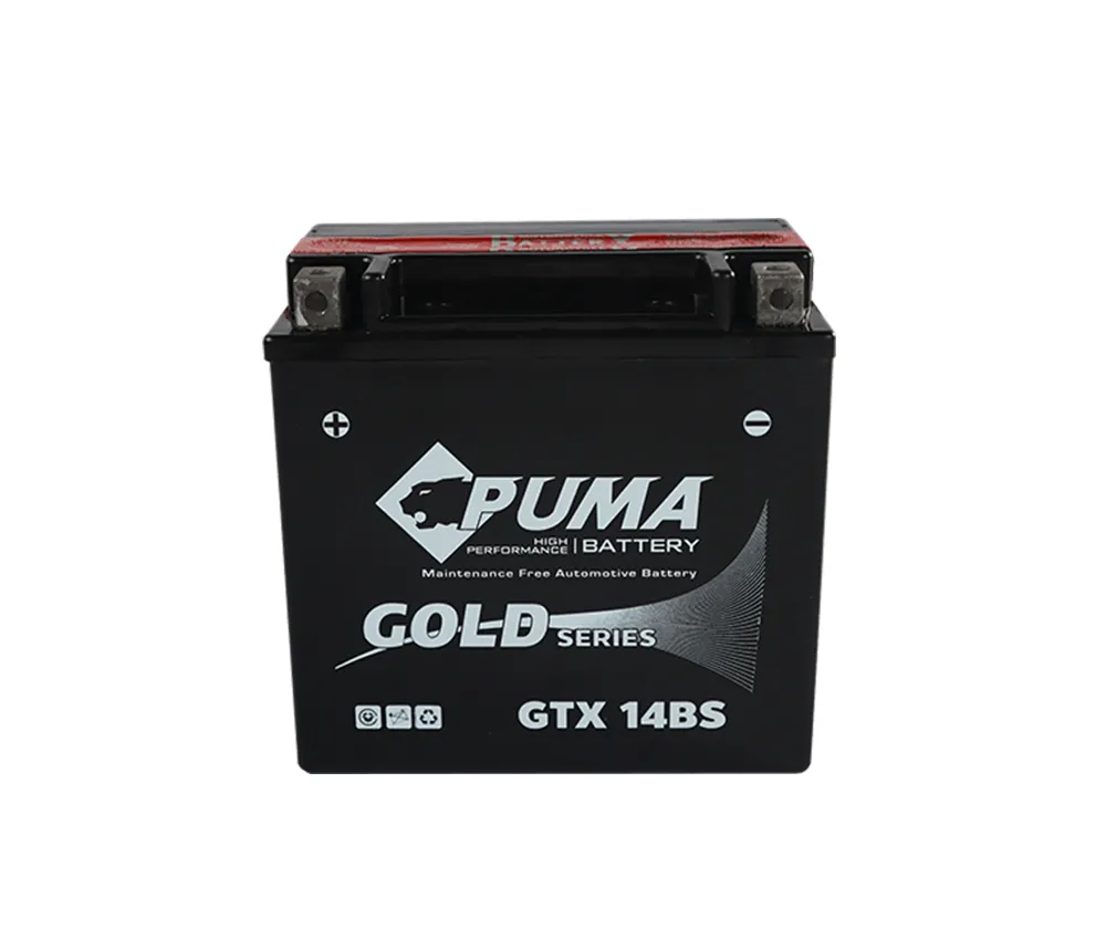 PUMA-GTX14BS(2)