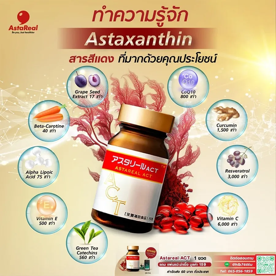 ทำความรู้จัก
