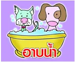 โรงพยาบาลสัตว์ชลบุรี(6)