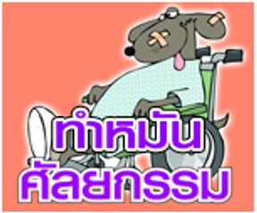 โรงพยาบาลสัตว์ชลบุรี(3)