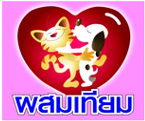 โรงพยาบาลสัตว์ชลบุรี(4)