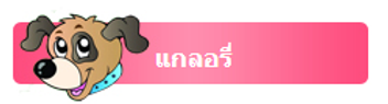 แกลลอรี่