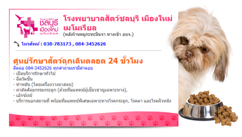 โรงพยาบาลสัตว์ชลบุรี(11)