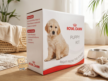 กล่องPuppyKit