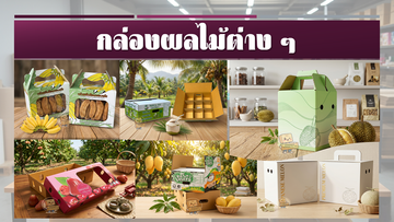 สไลด์9