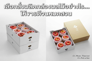 เลือกสังผลิตกล่องผลไม้อย่างไร