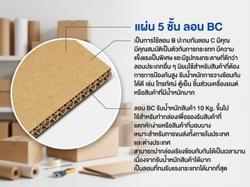 แผ่น5ชั้นลอนBC