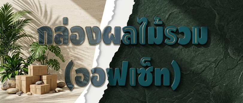กล่องผลไม้รวม (ออฟเซ็ท)