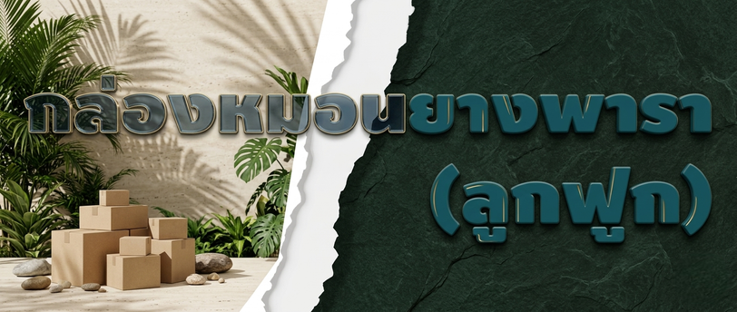 กล่องหมอนยางพารา (ลูกฟูก)