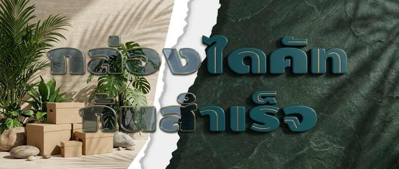 กล่องไดคัทก้นสำเร็จ