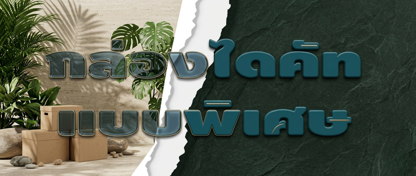 กล่องไดคัทแบบพิเศษ