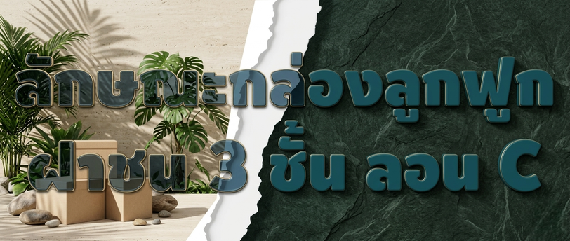 ลักษณะกล่องลูกฟูกฝาชน 3 ชั้น ลอน C