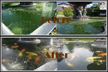 Beforeafter