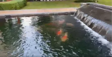 waterfall3