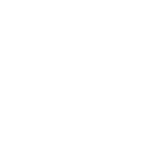 shopee-icon