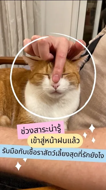 1722652021874