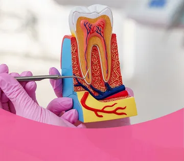 just-smiledentalclinic-4