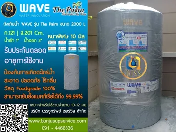 ThePalm2000