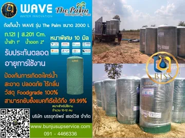 ThePalm2000