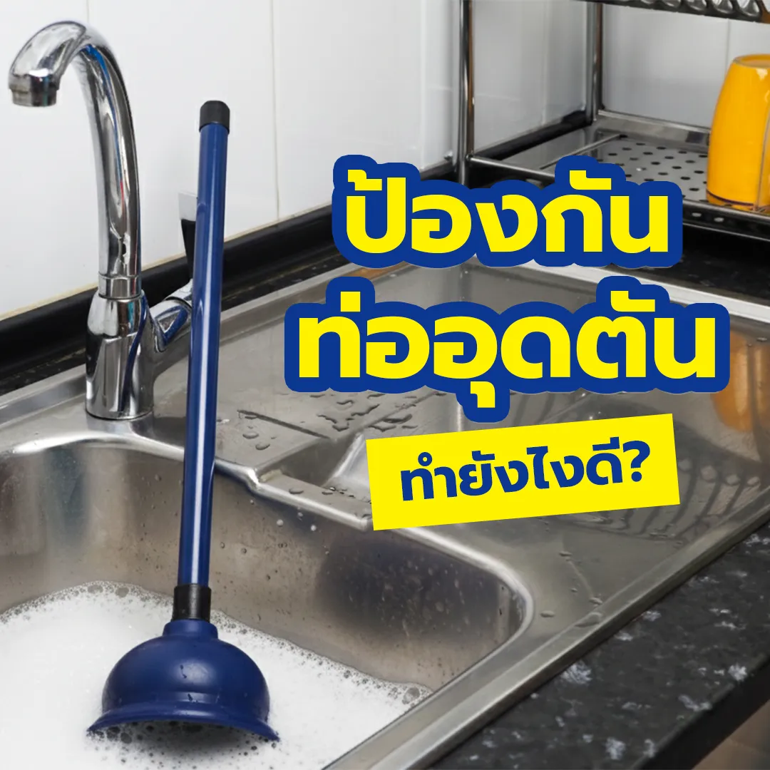 BusterPlughole-Block-Preventer-Cover