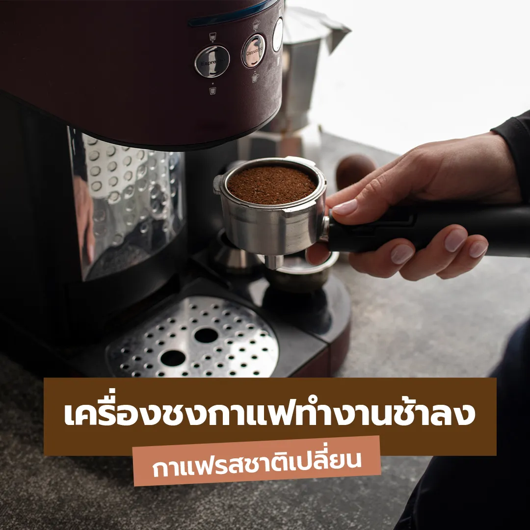 Knaus-Coffee-Machine-Cleaner-&-Descaler-Cover